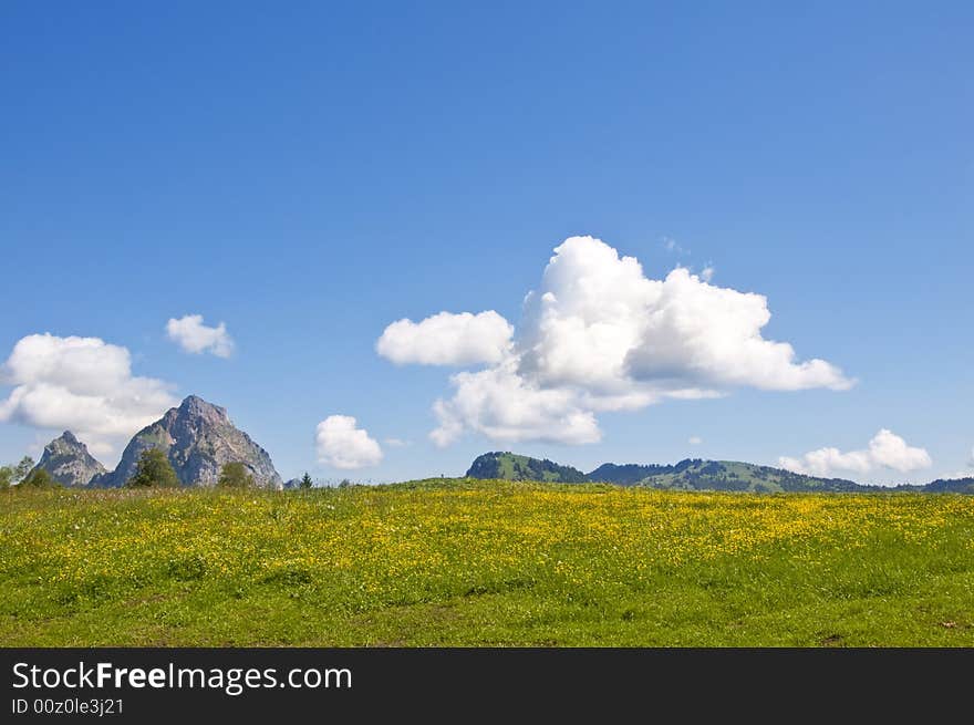 Alpine view