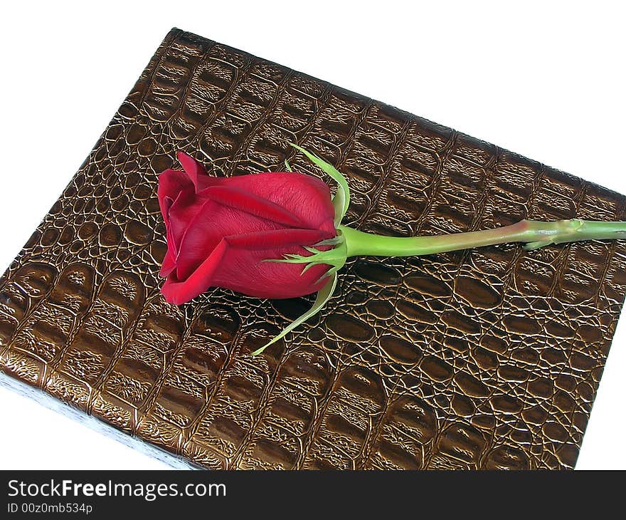 Red rose on a picture album from a leather of the crocodile. Red rose on a picture album from a leather of the crocodile.