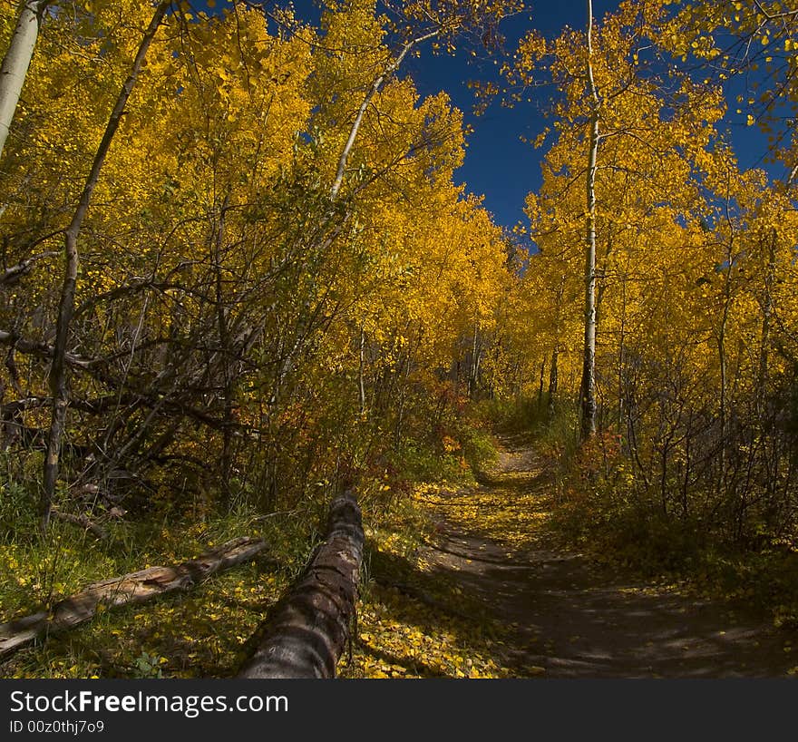 Autumn along the Fern Lake trail in Rocky Mountain National Park. Autumn along the Fern Lake trail in Rocky Mountain National Park.