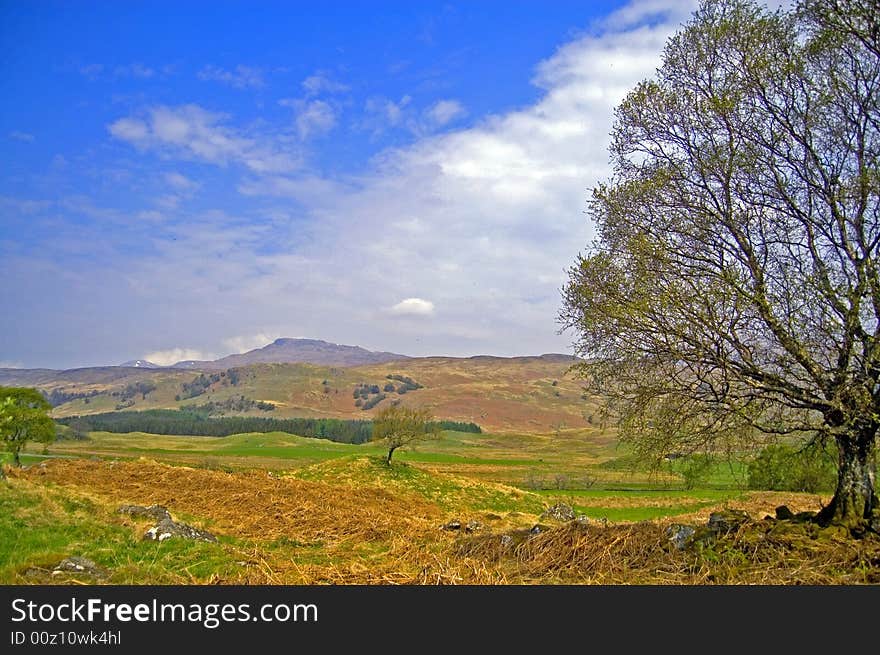 Scottish hills in early spring