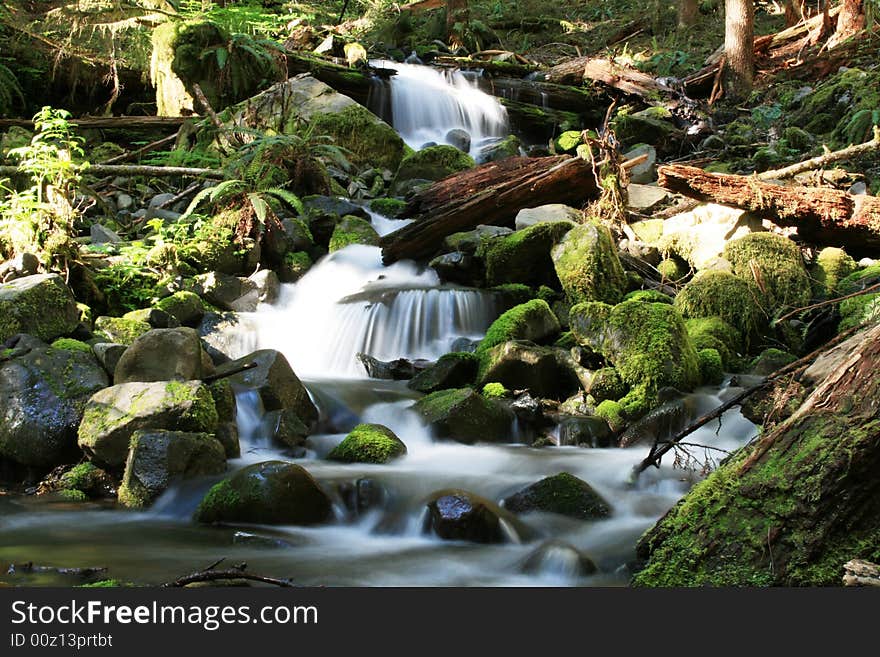 Water Stream