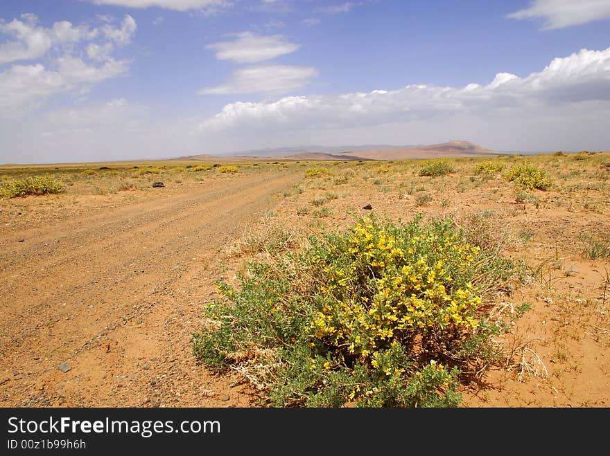 Panorama Of The Steppes, Central Mongolia