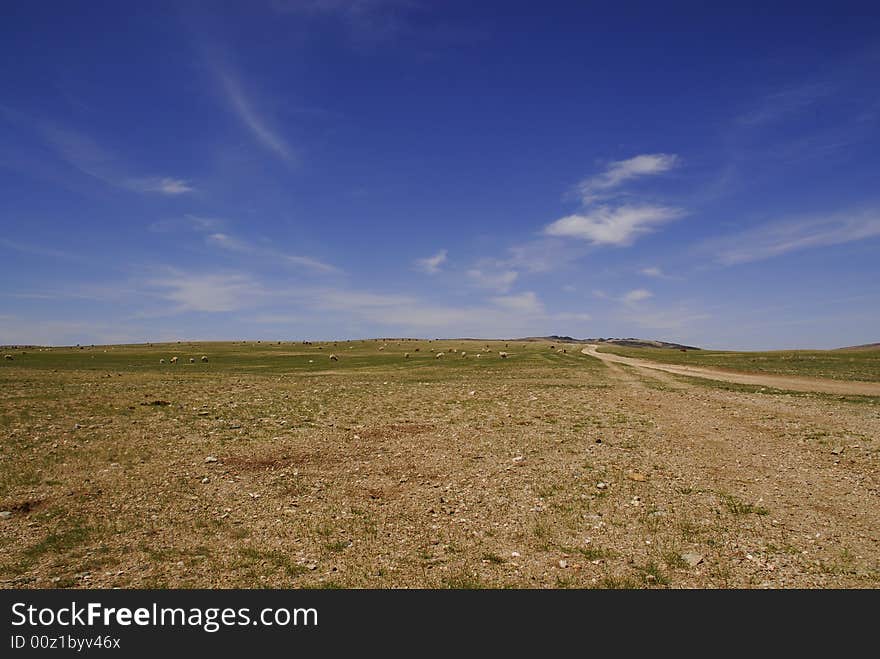 Mongolia Landscape