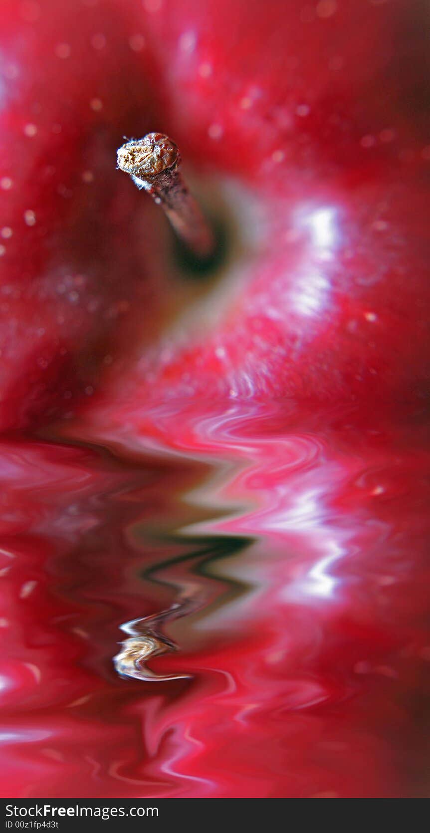 Close up of the stem of an apple