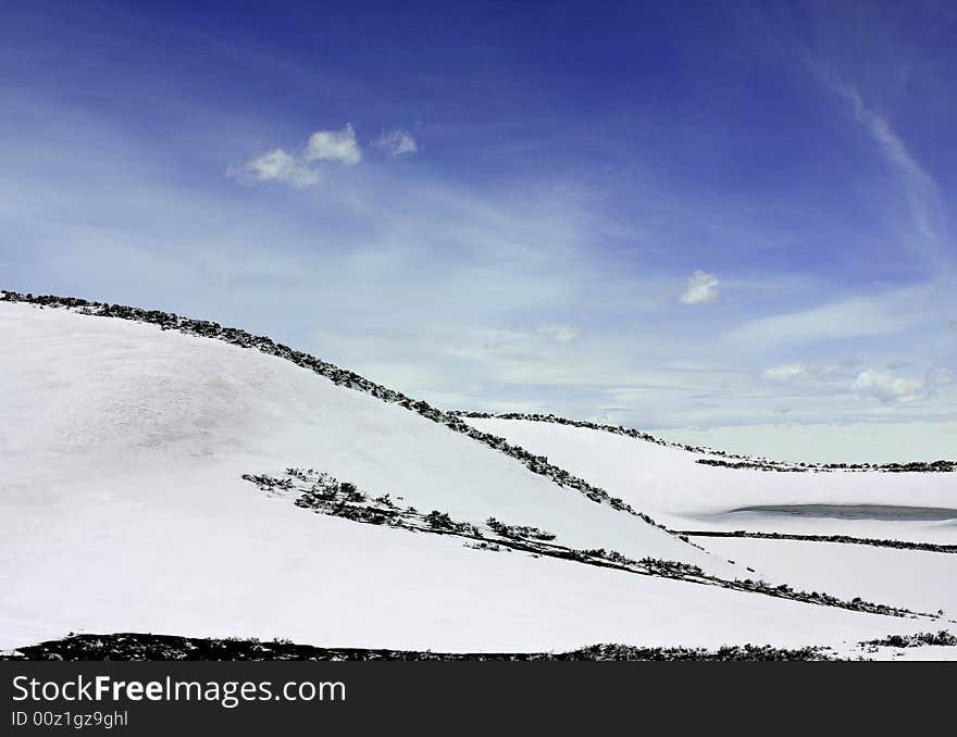 View of a snowy field with curved dark outlines. View of a snowy field with curved dark outlines