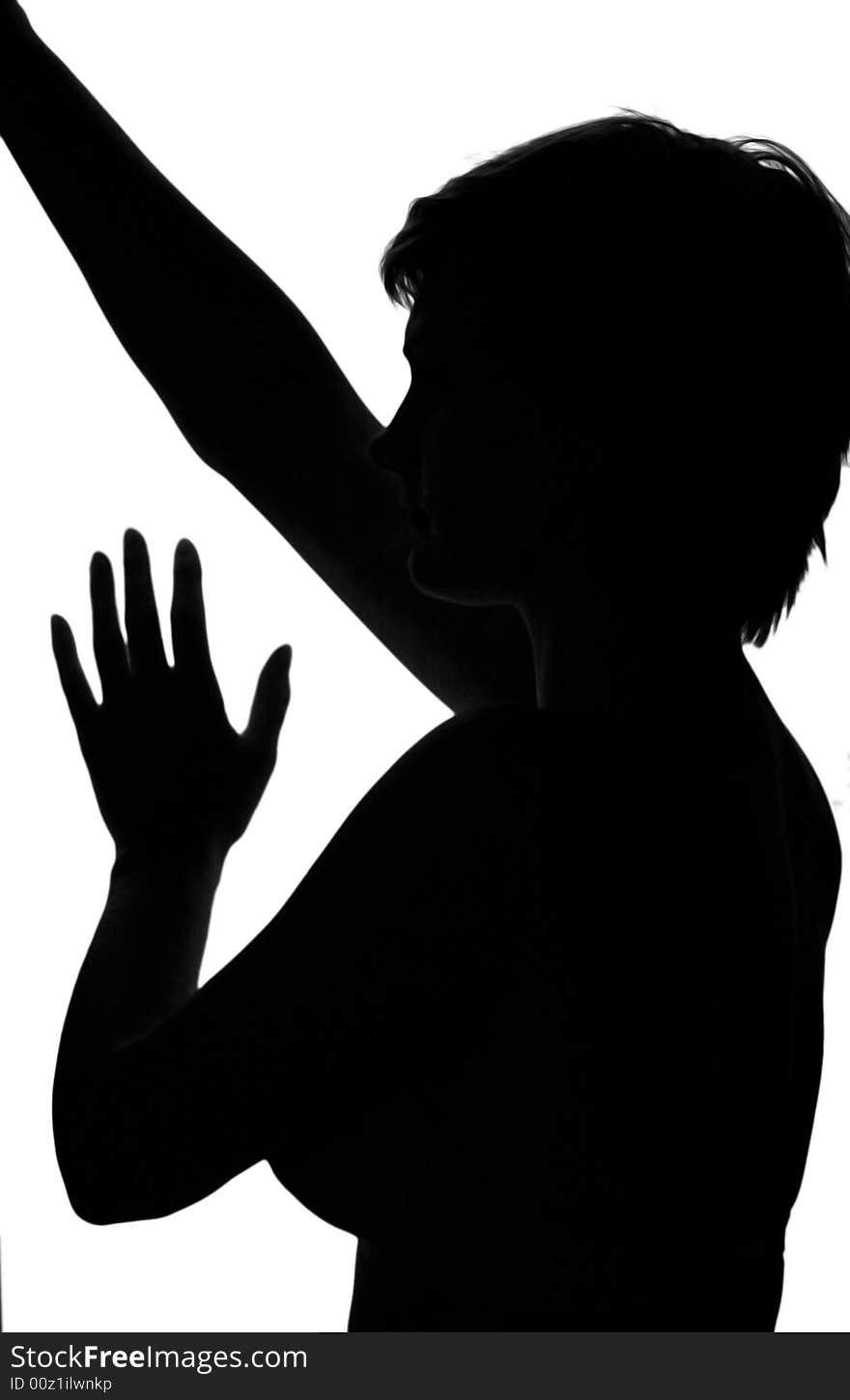 Isolated silhouette of naked young woman. Isolated silhouette of naked young woman