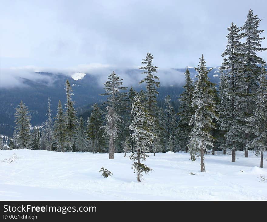 Winter in mountains