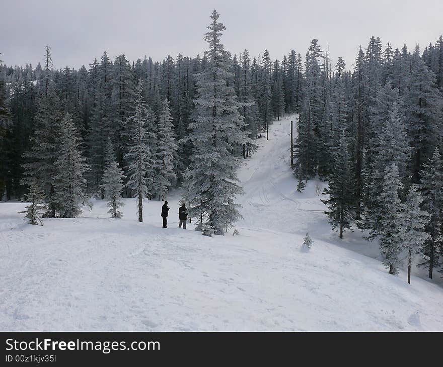 Photos of winter wood in mountains are made in Russia