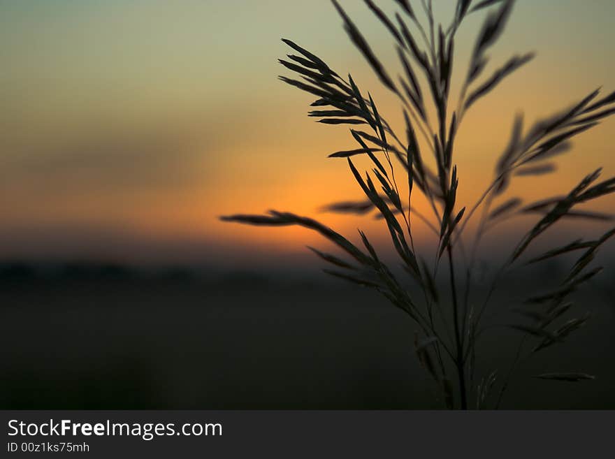 Sunset in countryside