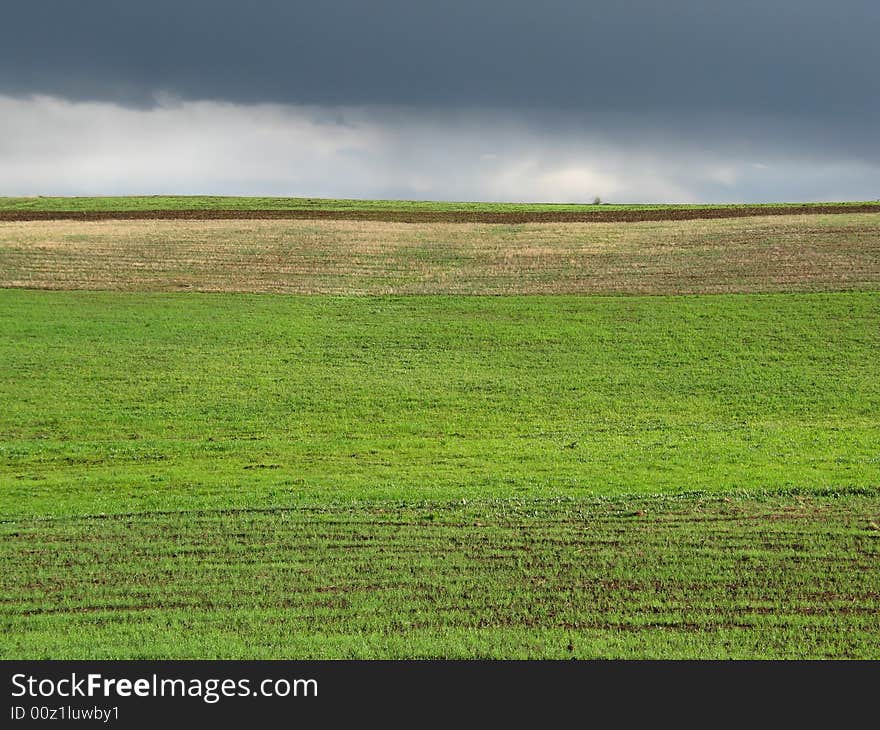 Green field after rain ,dark clouds