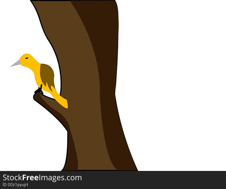 Bird sitting over branch of tree on isolated background. Bird sitting over branch of tree on isolated background