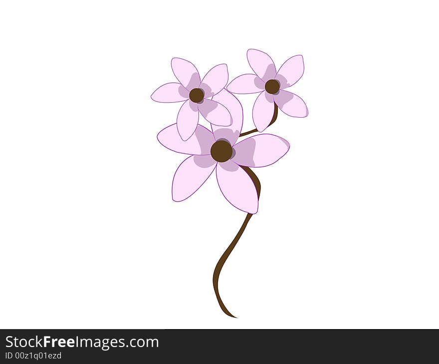 Flowers blooming on isolated with abstract background. Flowers blooming on isolated with abstract background