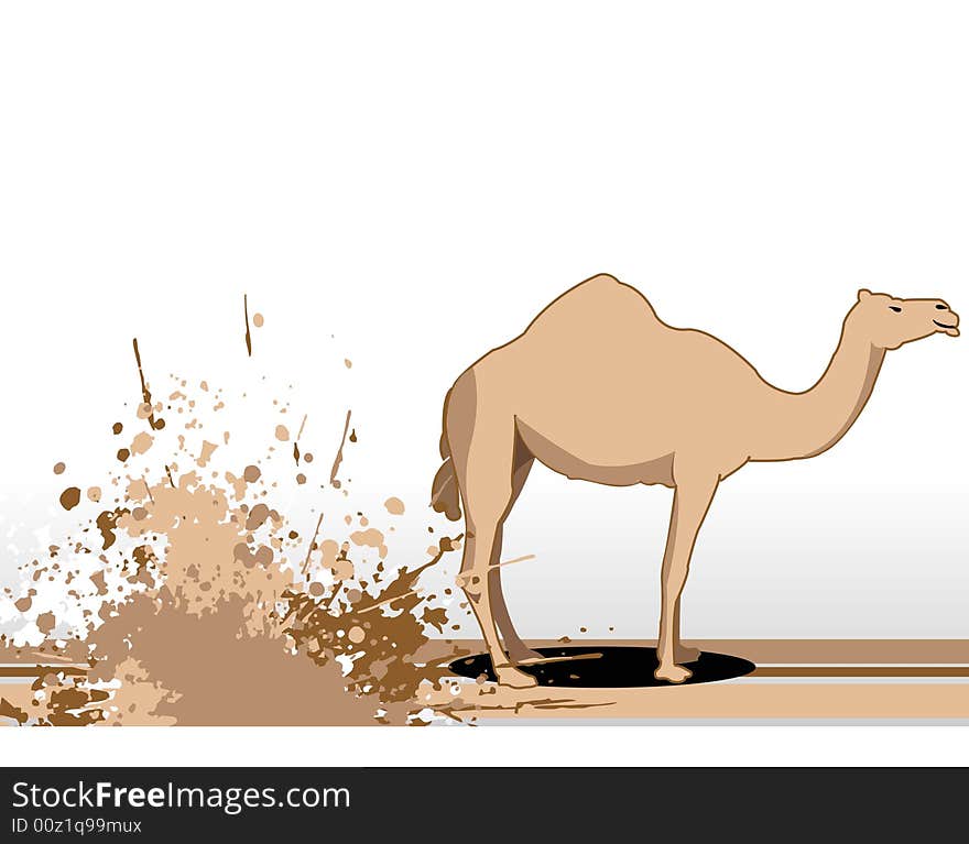 Camel Near Grunge