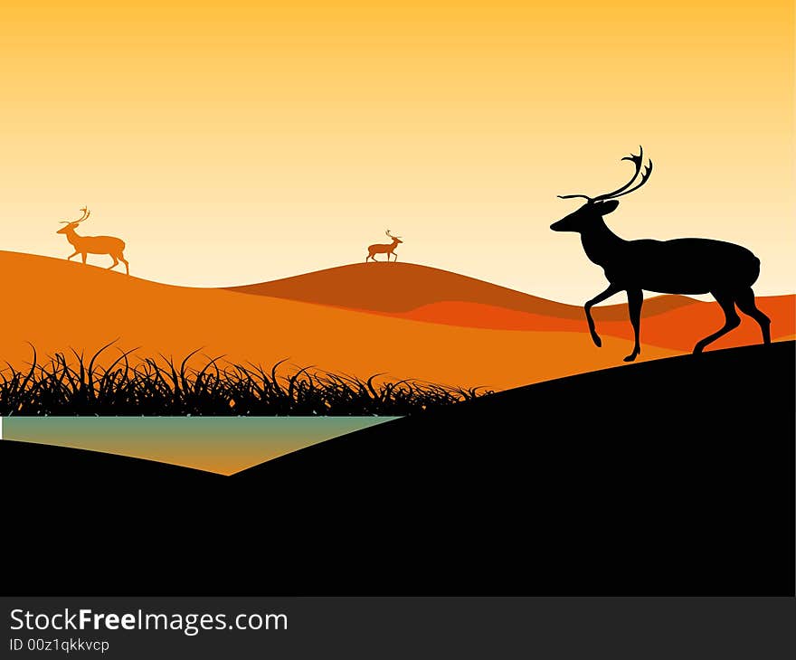 Reindeer near water in desert