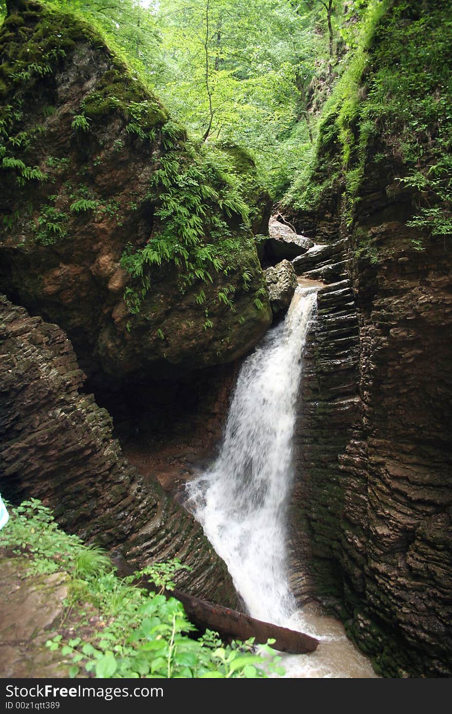 Waterfall on mountain small river among a forest