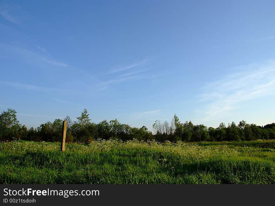 Meadow with green grass and blue sky with clouds