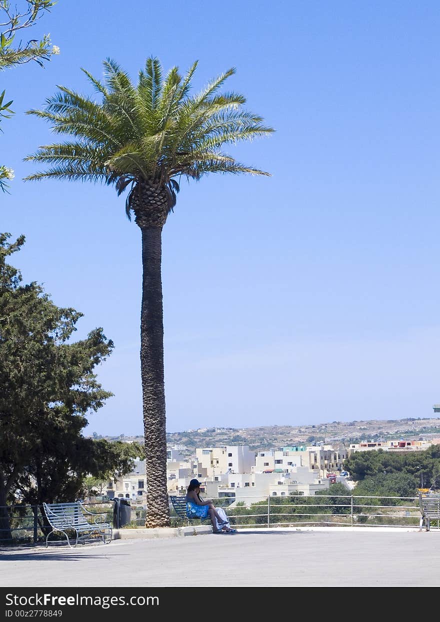 Two girls in the shade of a palm tree