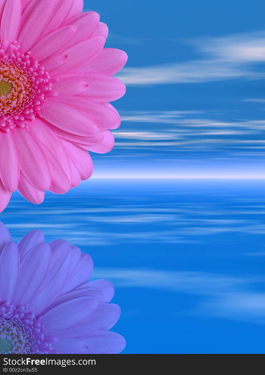 Beautiful flower with reflection on water - digital artwork.