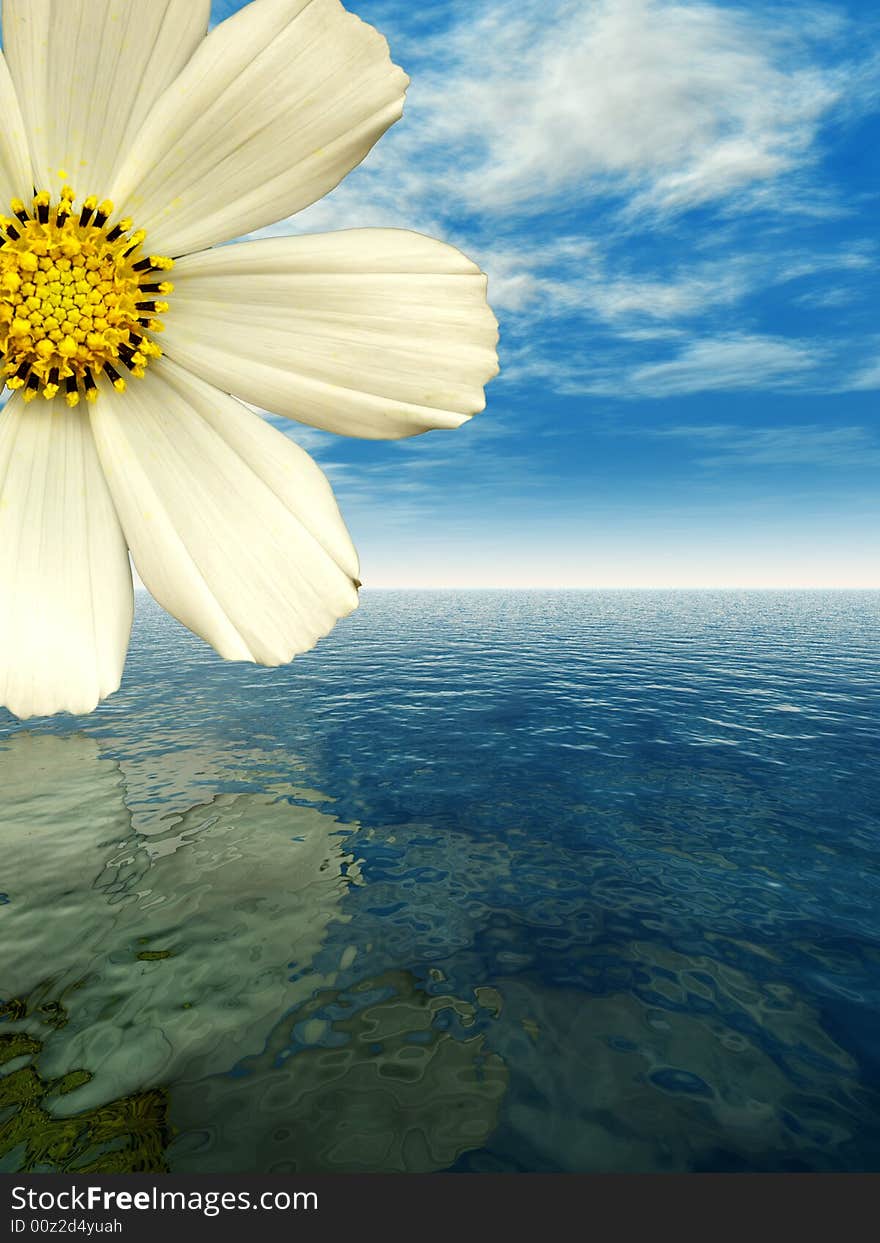 Beautiful flower with reflection on water - digital artwork. Beautiful flower with reflection on water - digital artwork.