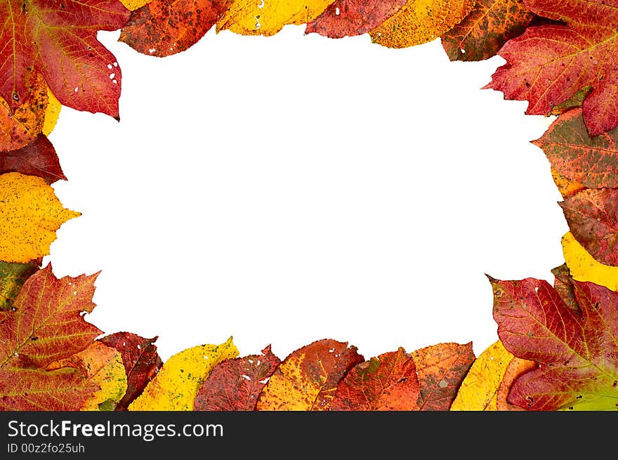 Autumn frame of colorful  leaves isolated on white