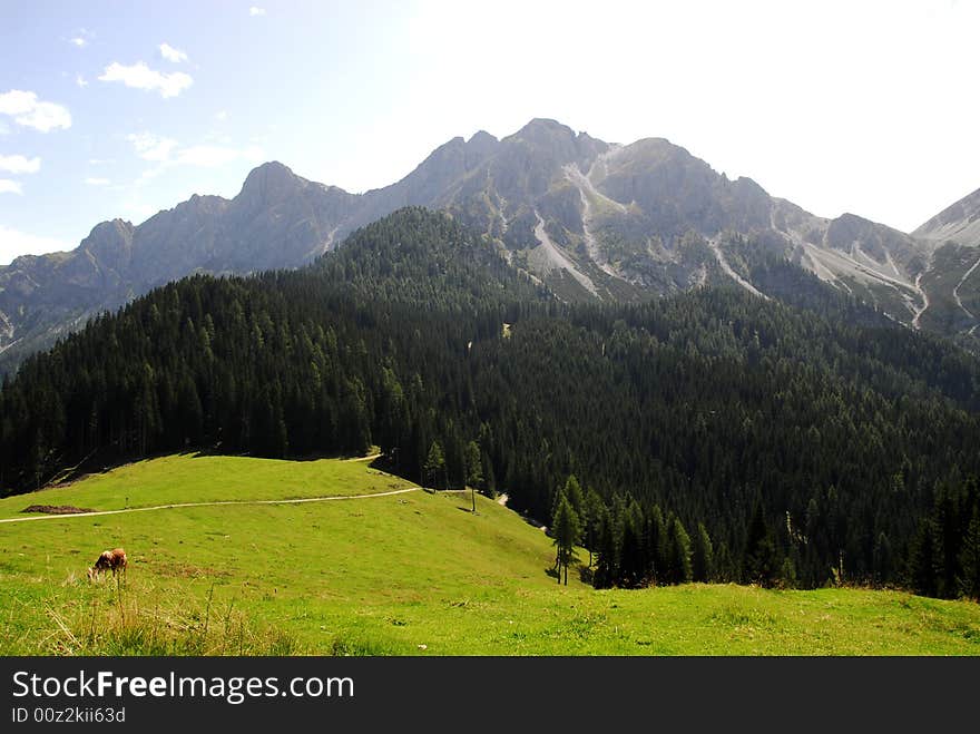 Dolomiti