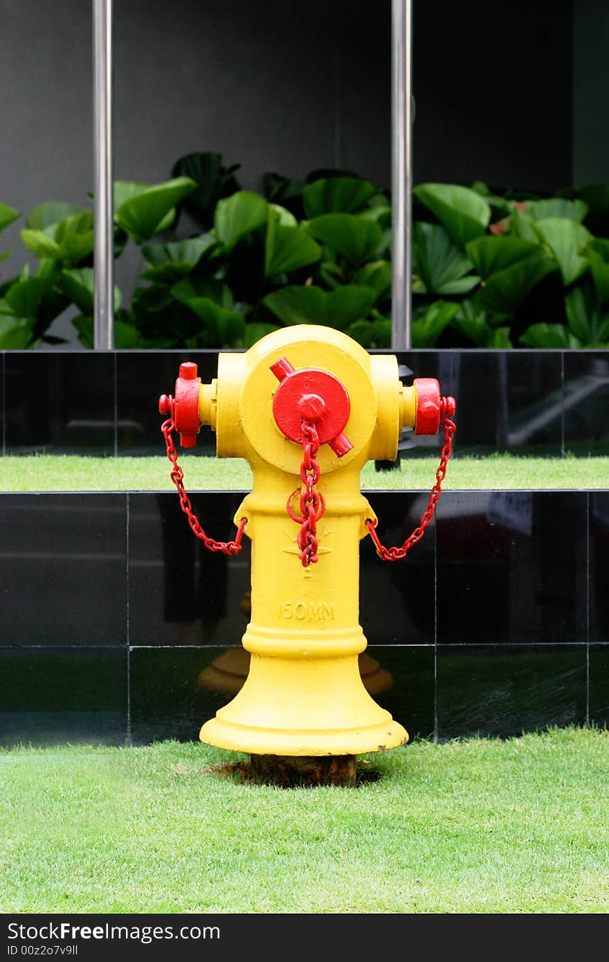 Bright yellow and red fire hydrant.