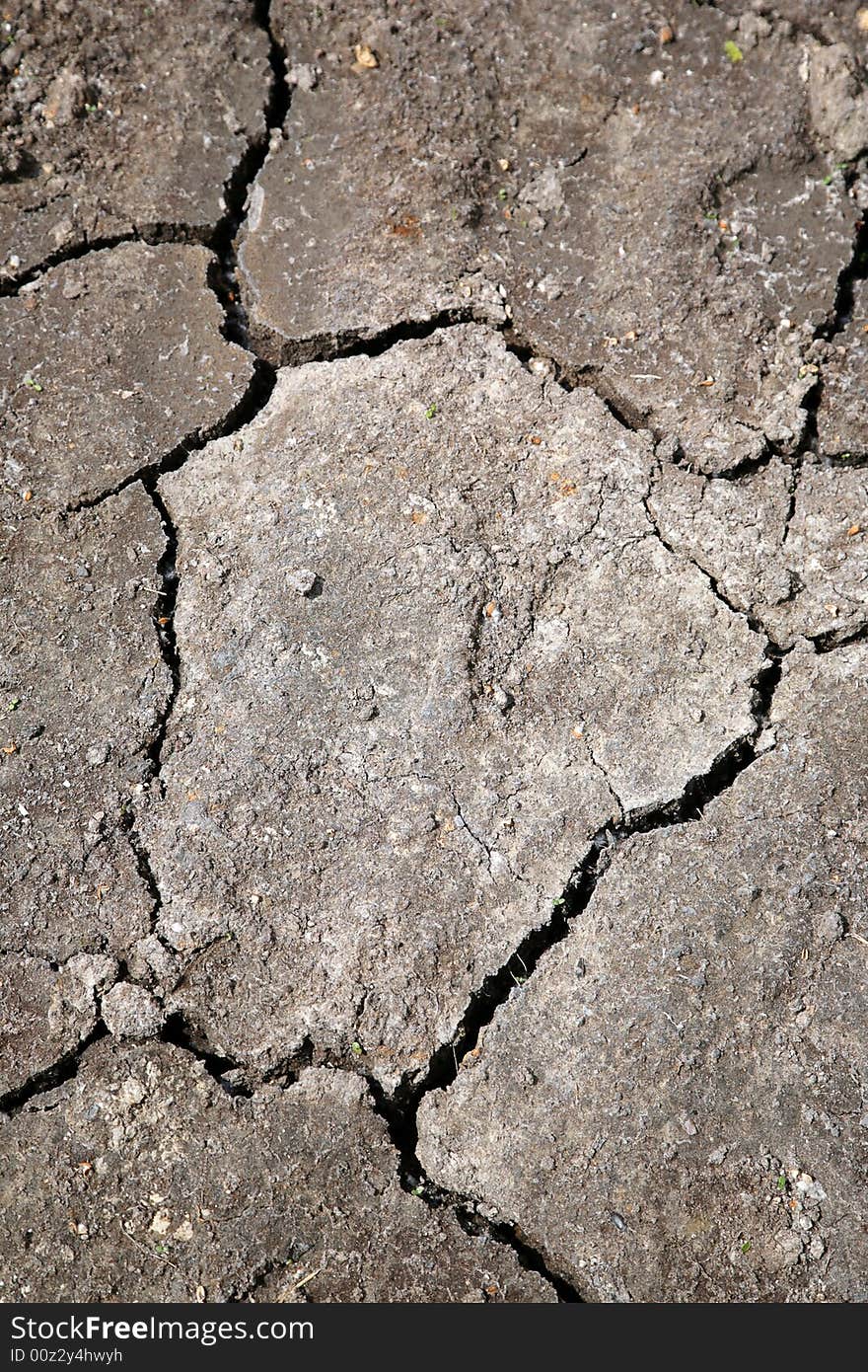 The dried up and cracked surface of the ground