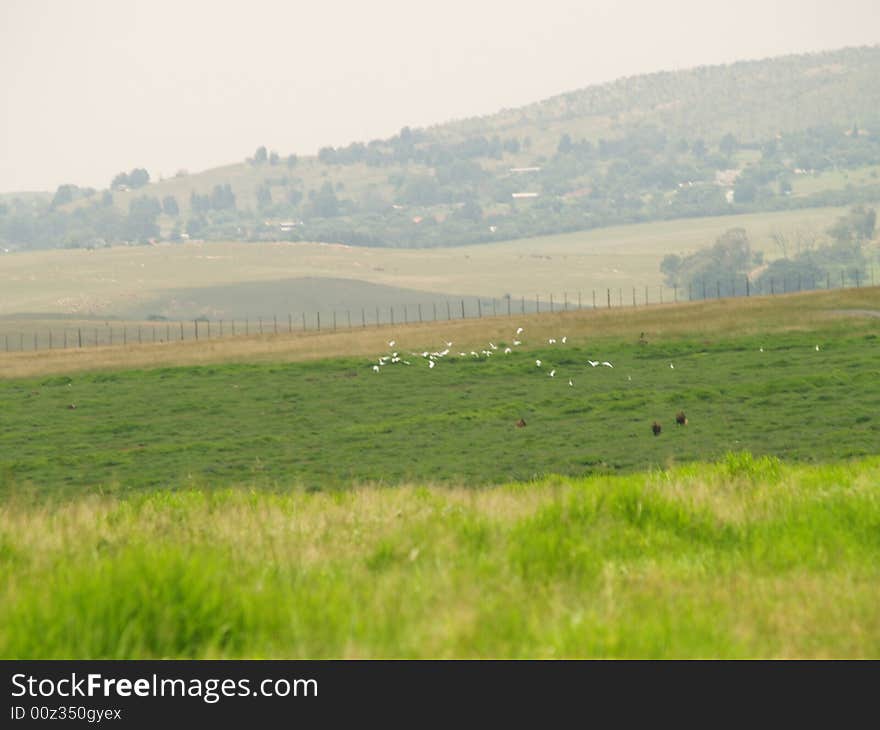 Landscape of Krugersdorp Nature Reserve