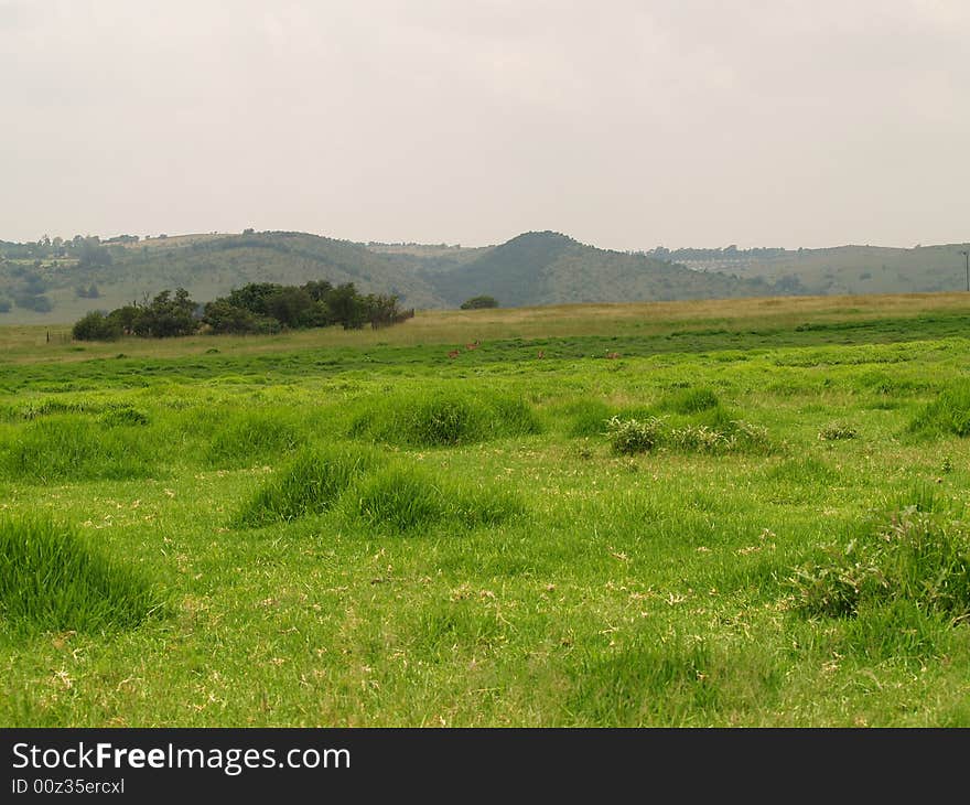 Landscape of Krugersdorp Nature Reserve