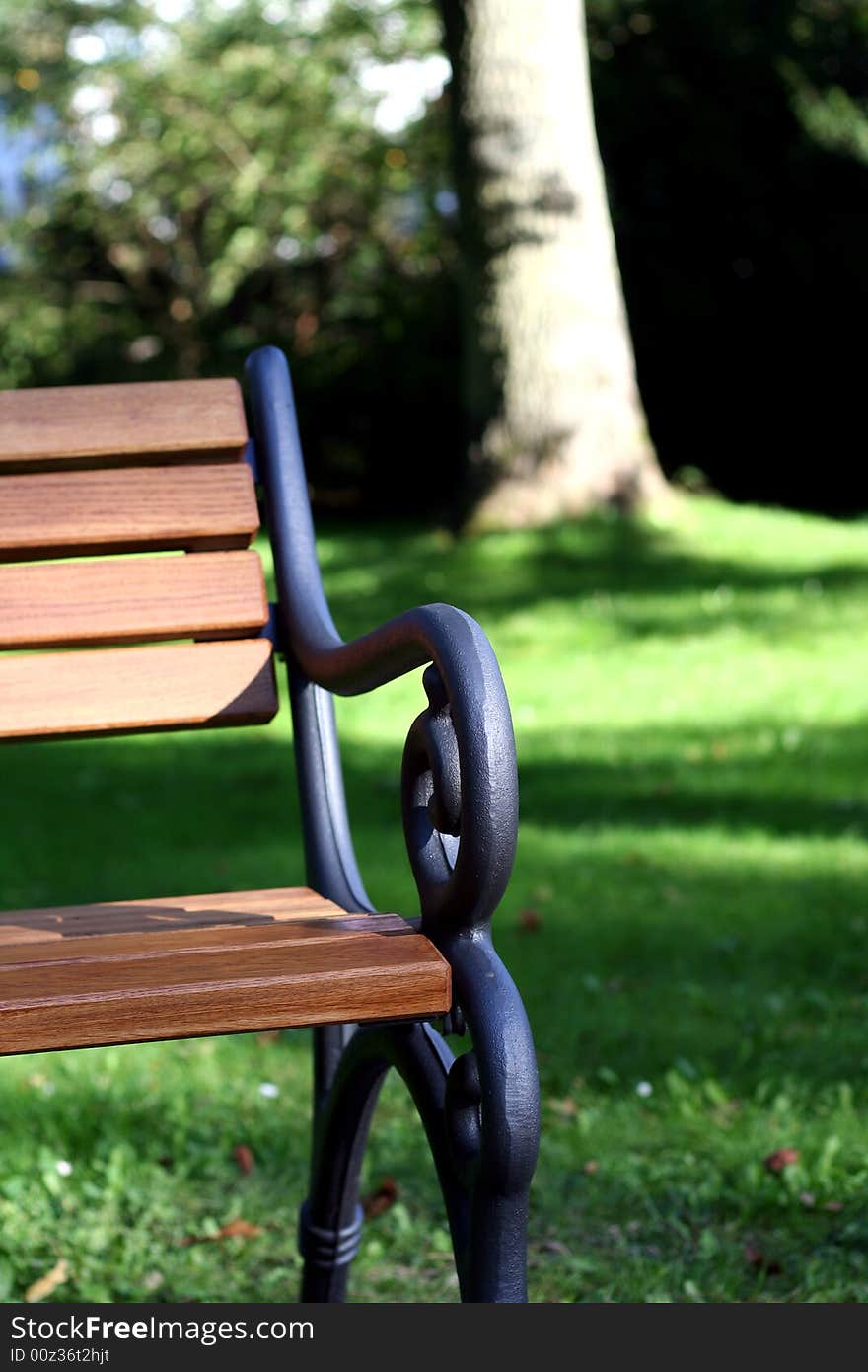 Bench And Grass