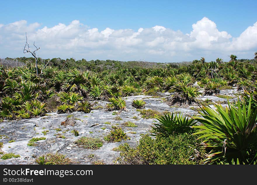 The Limstone Land