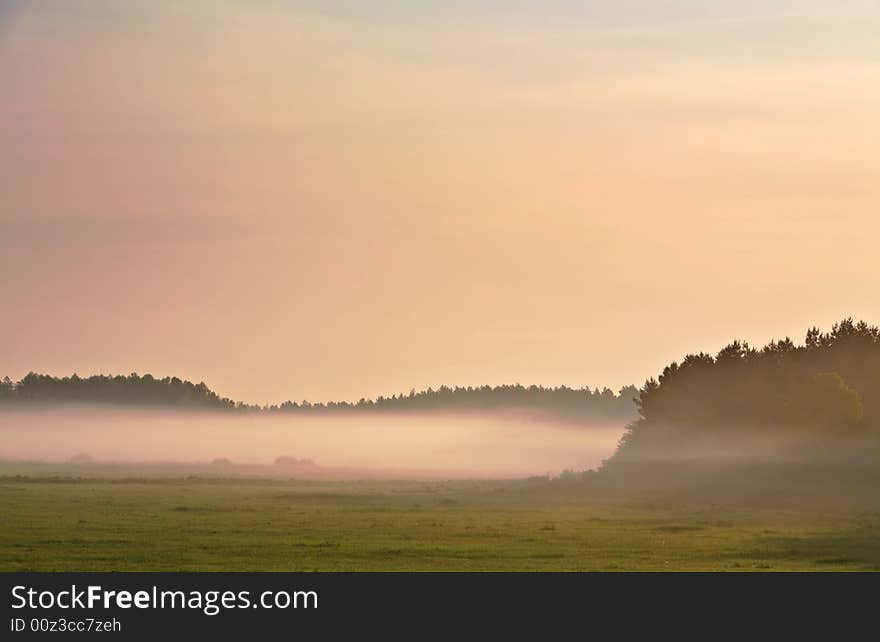 Foggy morning