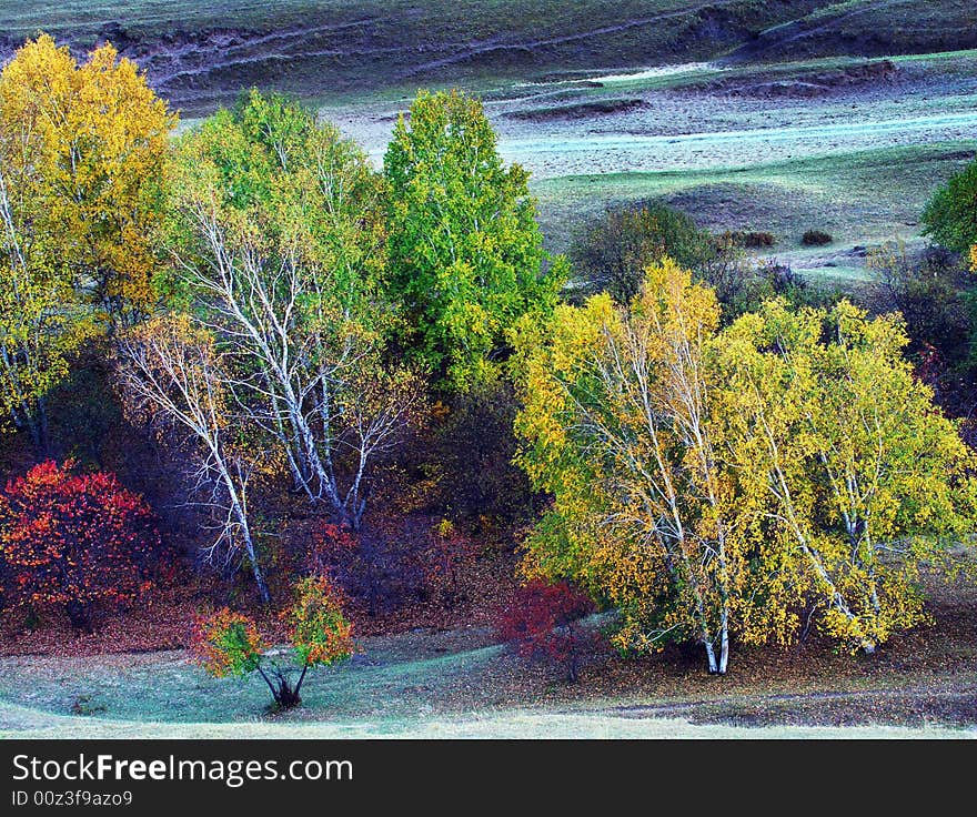 Autumn colour is very beautiful