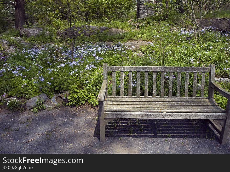 Garden Bench