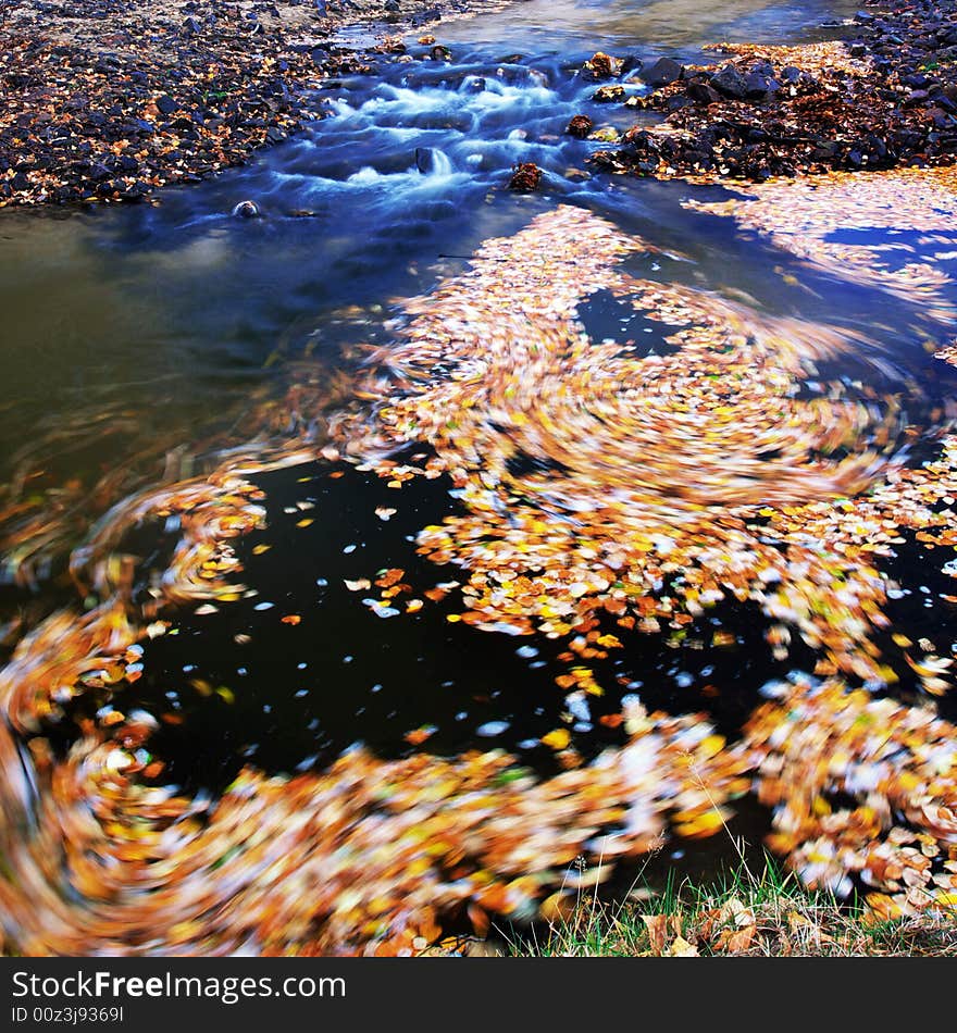 The  leaf is floating on the river. The  leaf is floating on the river