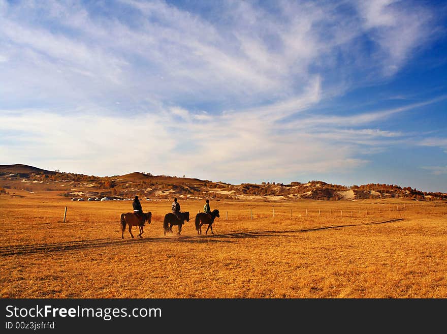 Equitation