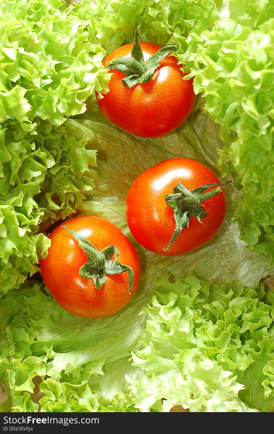 Fresh salad with tomatoes