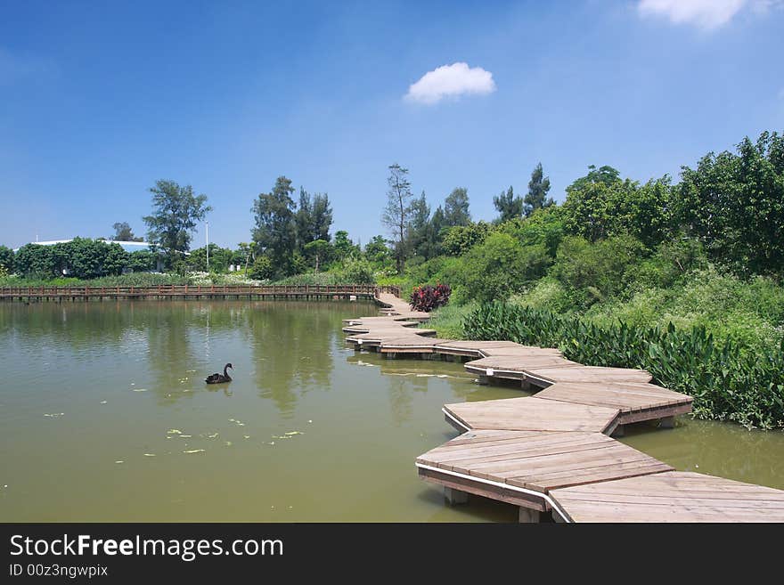 Wood path on water