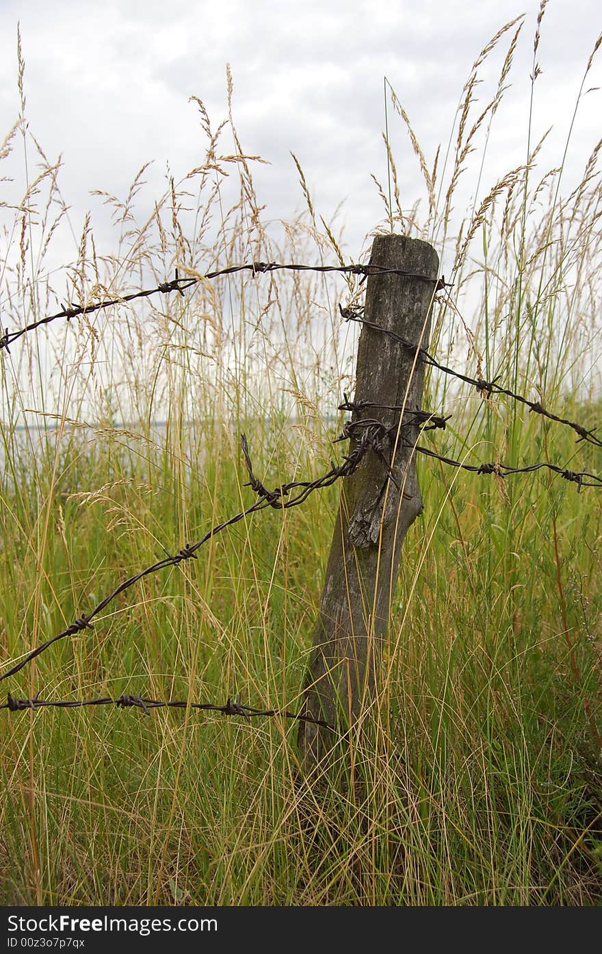 Chernobyl area