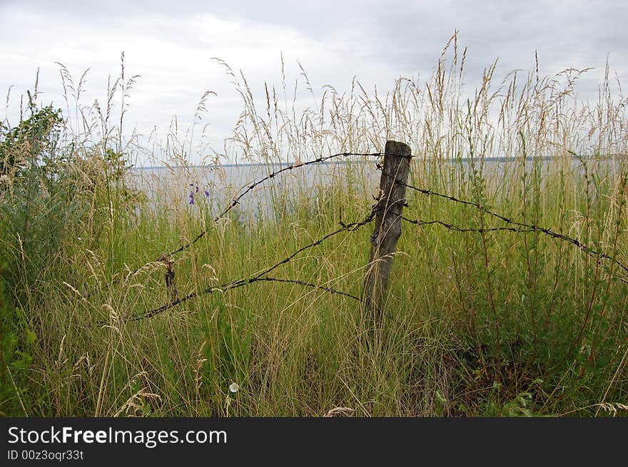 Chernobyl area