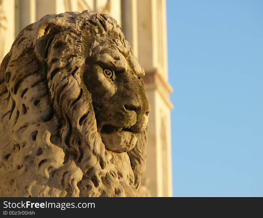 Lion in S.Croce square