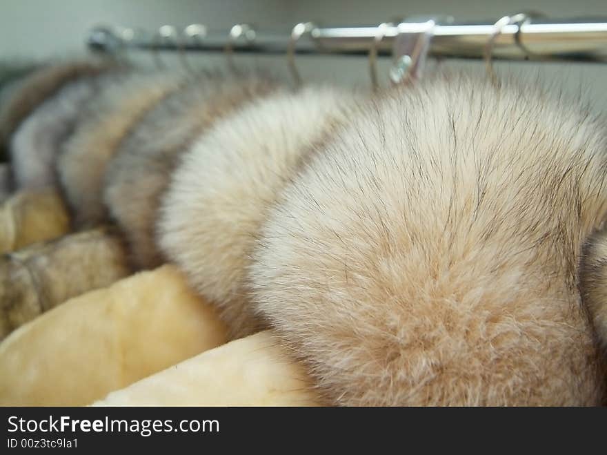 White collar from natural fur. White collar from natural fur