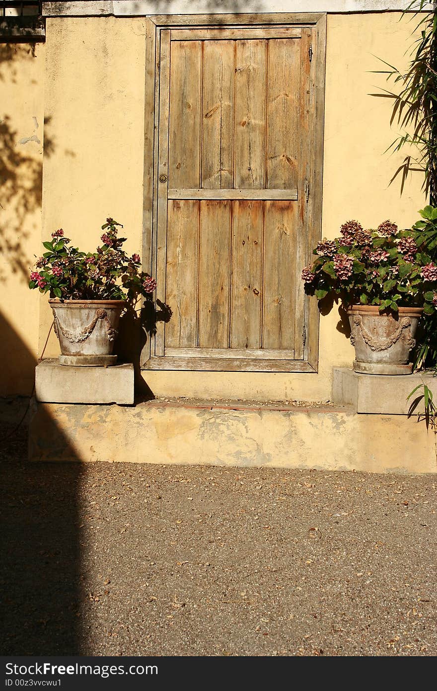 Door with two plants on the side. Door with two plants on the side