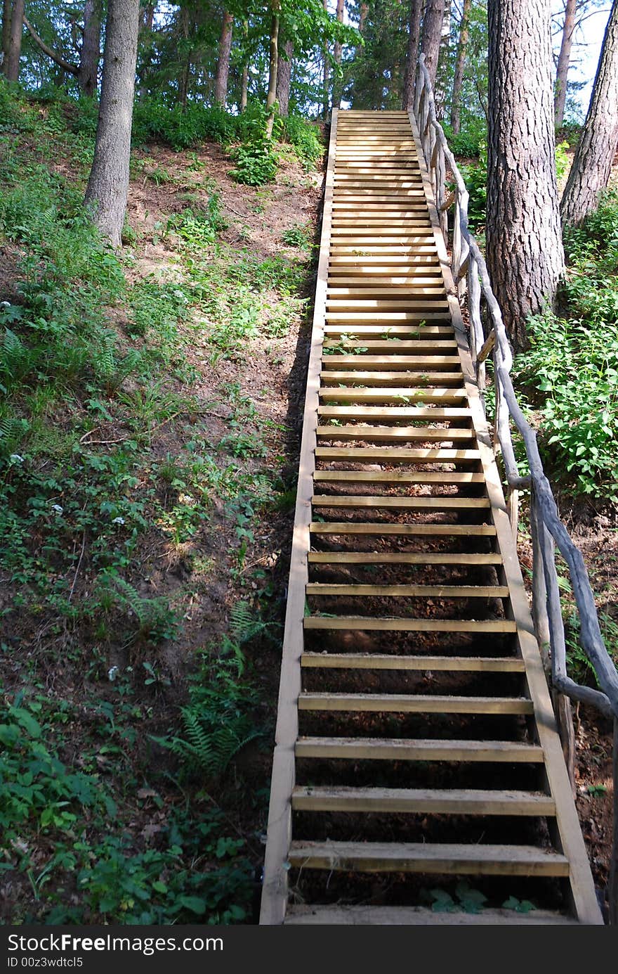 Wooden stairs