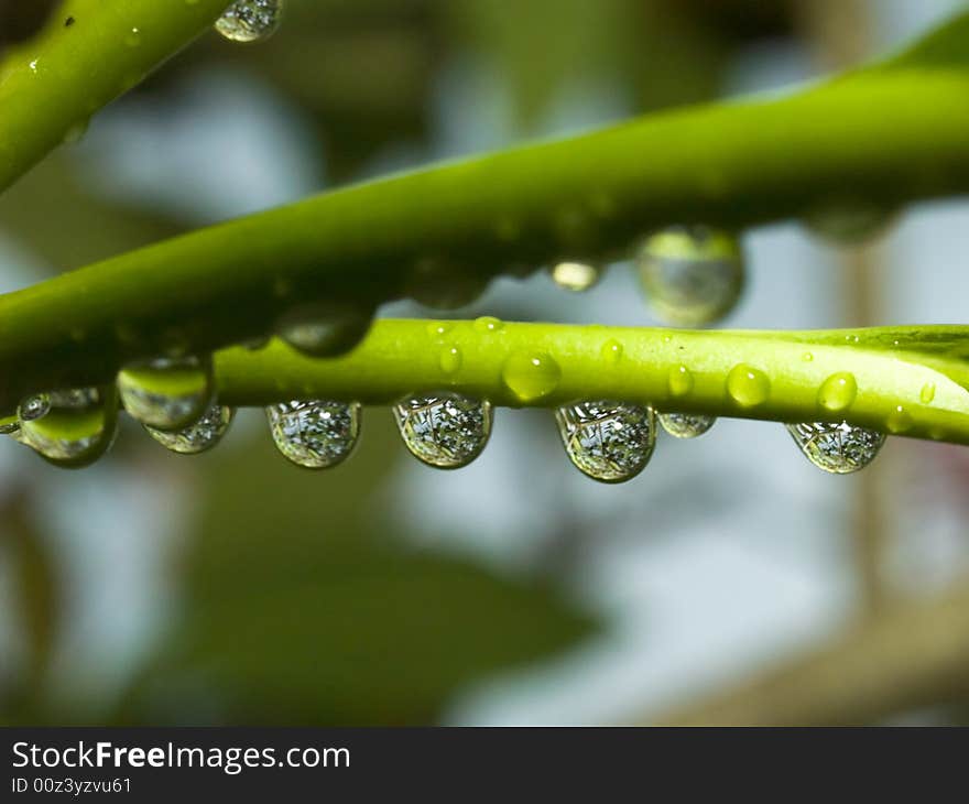 Beaded Refraction