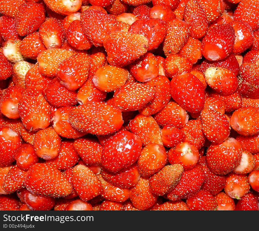 Fresh berrys from my own garden. Here about hundred of them. Fresh berrys from my own garden. Here about hundred of them.