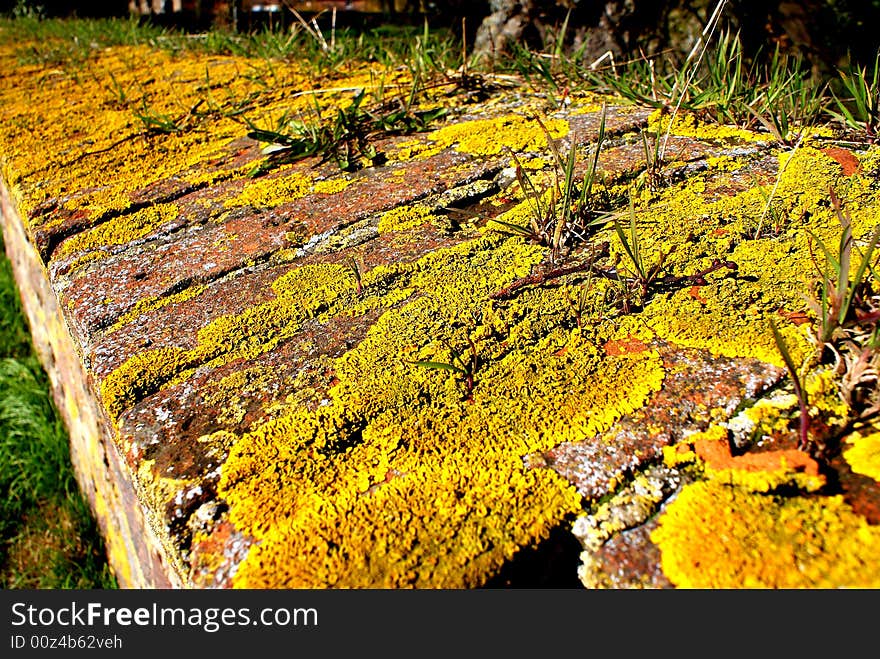 A stonewall with yellow moss around a 	cemetery in a small village