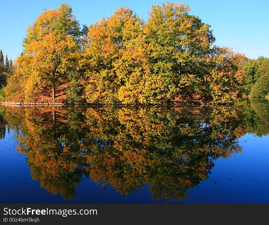 Trees on small island reflect in calm blue water. Trees on small island reflect in calm blue water