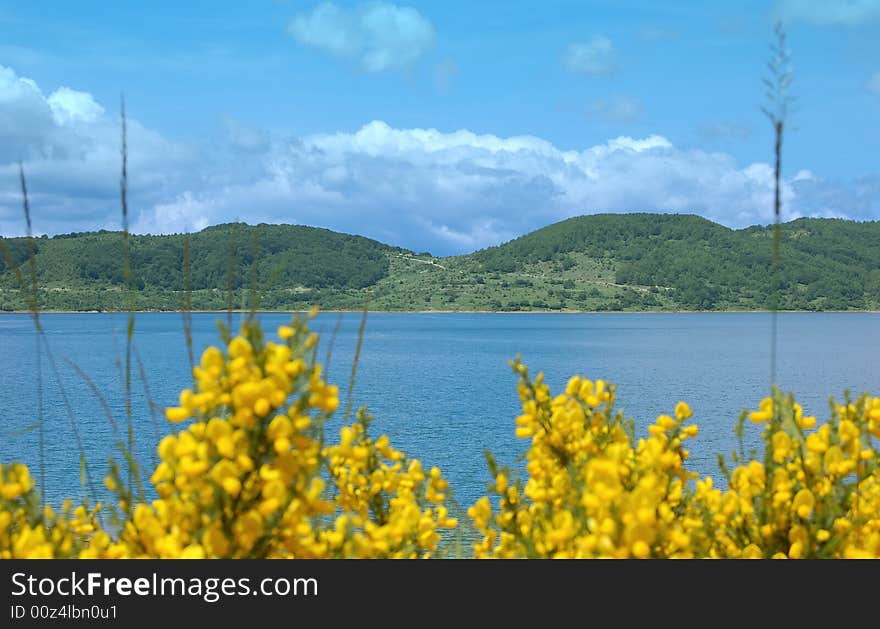 Some Yellow flowers and a natural view over a lake in the mountain. Some Yellow flowers and a natural view over a lake in the mountain.