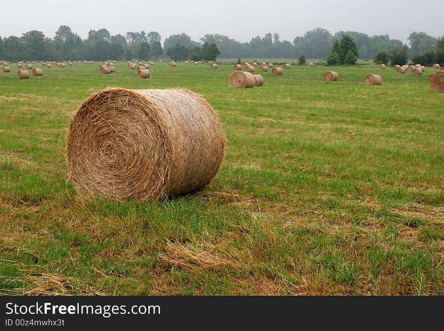 Agricultural field with haystacks after harvest. Agricultural field with haystacks after harvest.